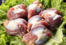 خواص سنگدان مرغ