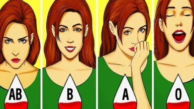 شخصیت شناسی