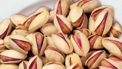 جنگل‌ های ترکیه