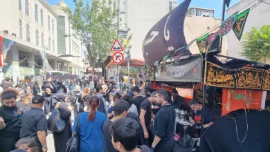 جنگل‌ های ترکیه