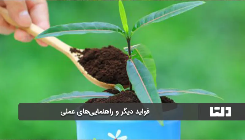 قهوه