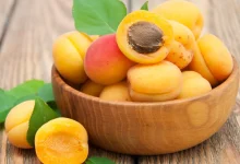 مصرف زردآلو در بارداری 2