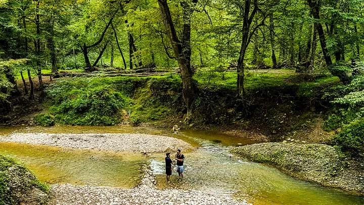 تهران