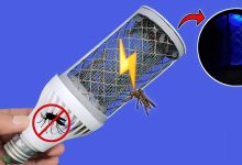 چگونه در خانه با لامپ، دستگاه پشه کش الکتریکی بسازیم؟