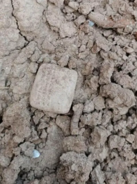 فهرست خرید