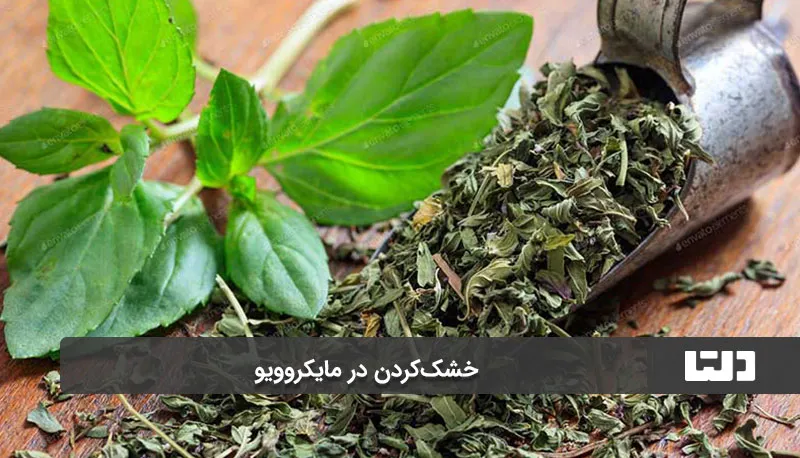 اینستاگرام