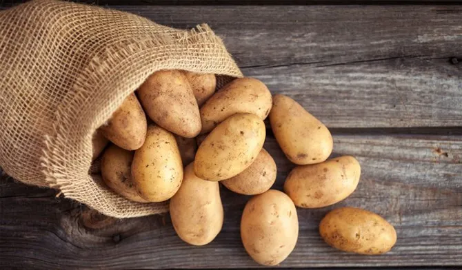 سرطان پانکراس