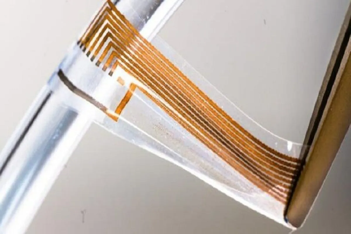 جشن آبانگان