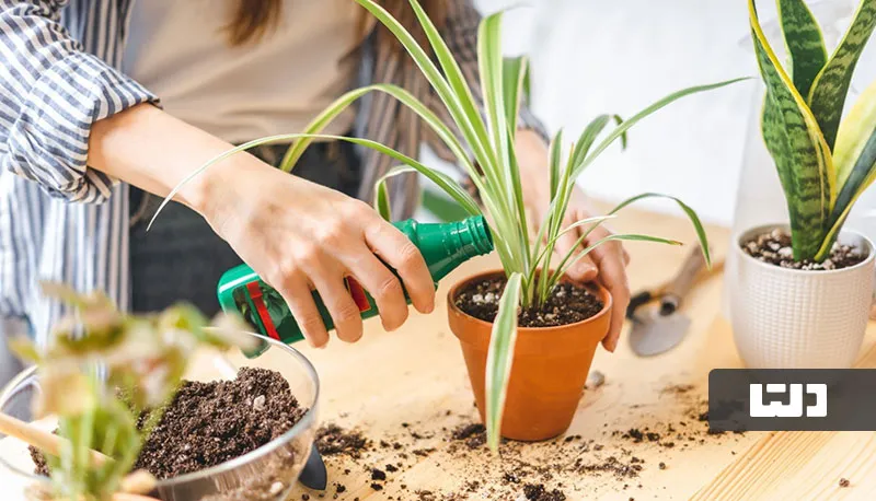 روستای کنعان