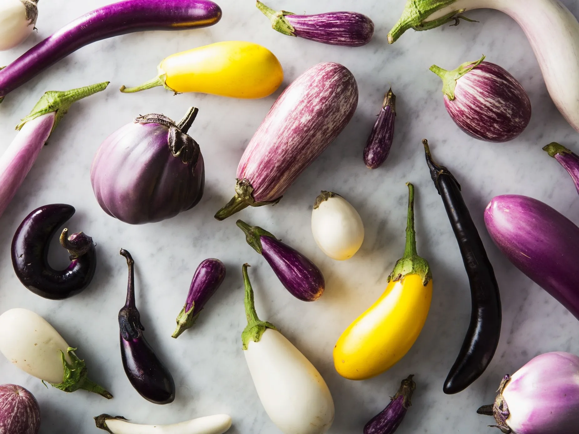 eggplant 2