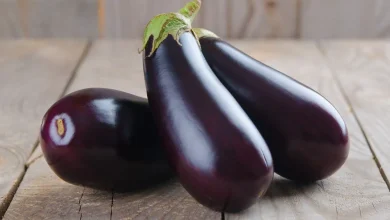 eggplant