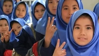 آمار تکان‌دهنده از دانش‌ آموزان افغانستانی در ایران