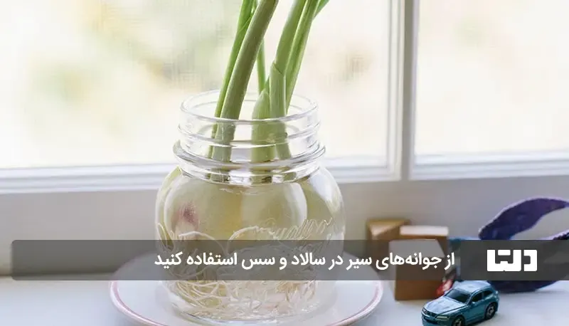 گیاه