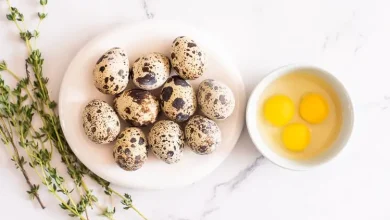 تخم بلدرچین1