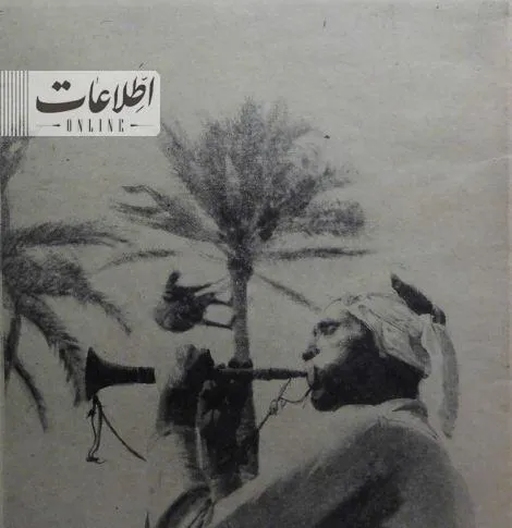 جشن خرما چینی