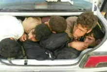 افغانی‌