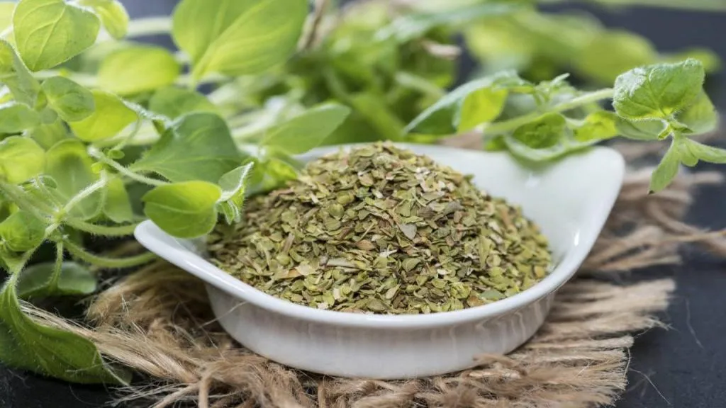 خاصیت مرزنجوش طریقه مصرف3