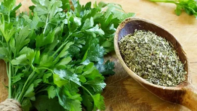 خشک کردن سبزی معطر در خانه1