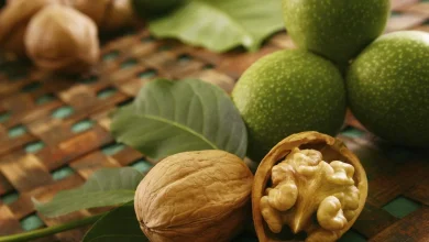 خشک کردن