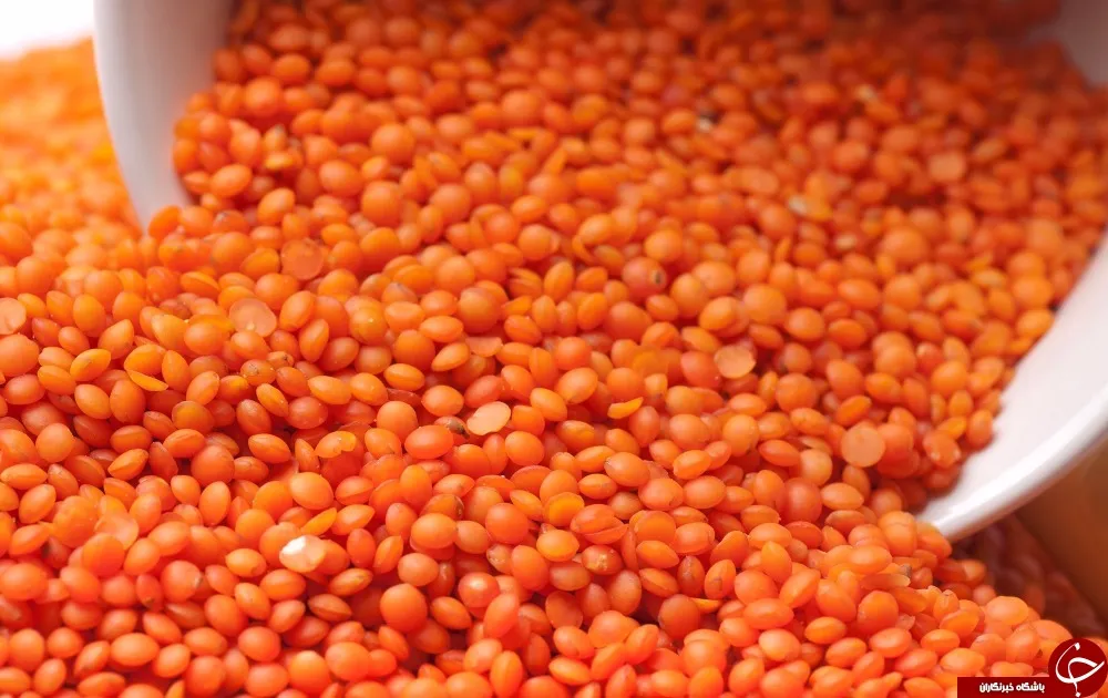 خواص دال عدس