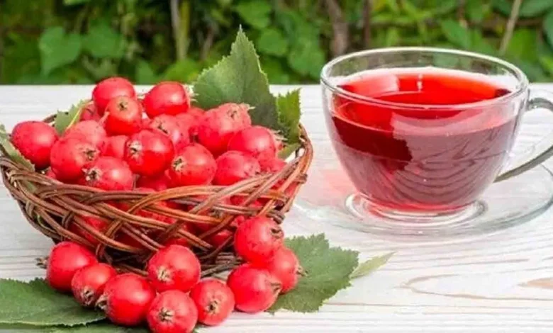 خواص زالزالک