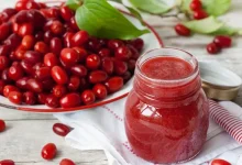 فواید و مضرات زغال اخته