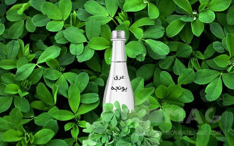خواص عرق یونجه