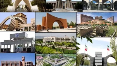 دانشگاه