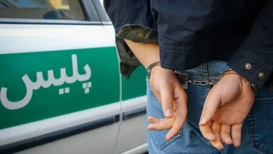 سارق