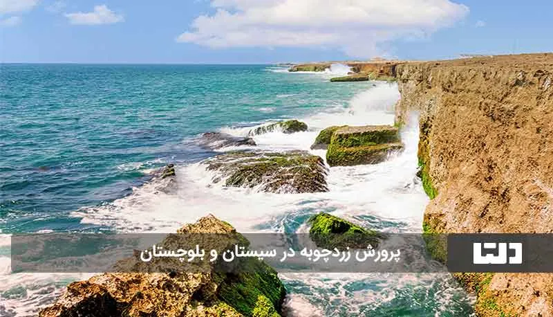 شهر زردچوبه ایران کجاست؟