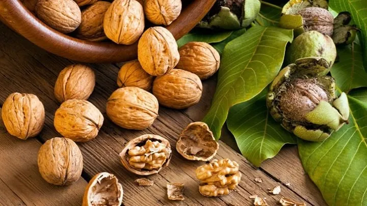 دمنوش پوست سبز گردو