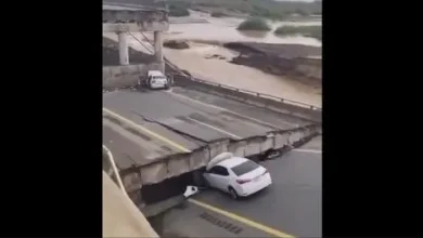 هواشناسی
