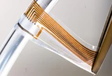 خواص شیره انگور برای اعصاب