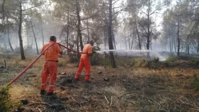 مهار آتش‌سوزی‌ جنگل‌ ها در ترکیه با ۲۱۳۴ سورتی پرواز طی دو روز