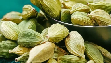 بوی بد دهان