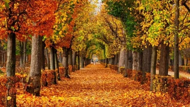 پاییز