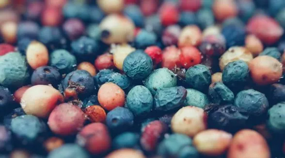 خواص روغن بنه