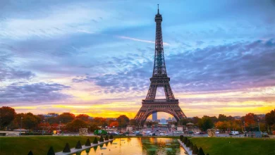 پلیس فرانسه1