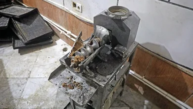 چرخ گوشت