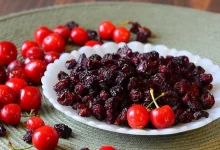 چگونه آلبالو را خشک کنیم؟4