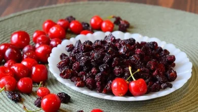 چگونه آلبالو را خشک کنیم؟4