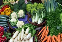 چگونه طراوت سبزیجات خرد شده را حفظ کنیم؟1