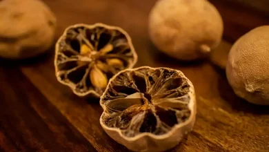 چگونه لیمو ترش را خشک کنیم که تلخ نشود؟3