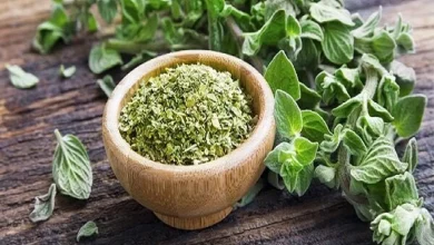 کاهش عفونت ویروسی با این گیاه خوش عطر1