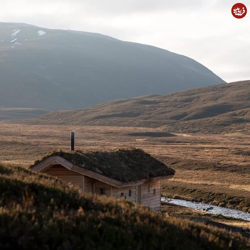 سرطان پانکراس