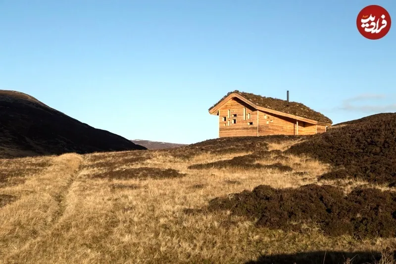 سرطان پانکراس