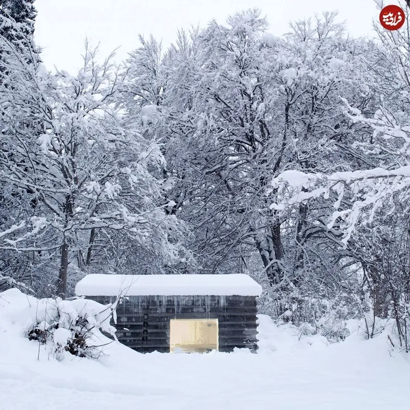 سرطان پانکراس