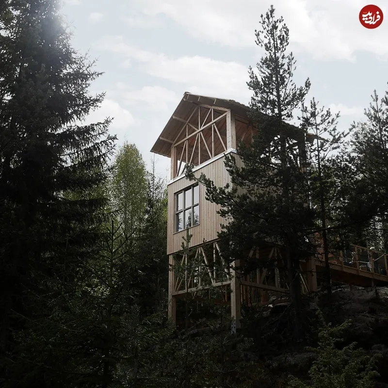 سرطان پانکراس