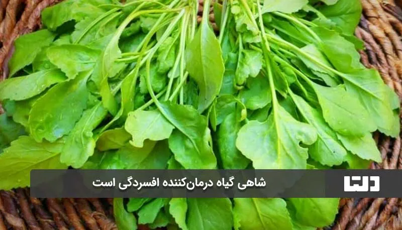کراتین