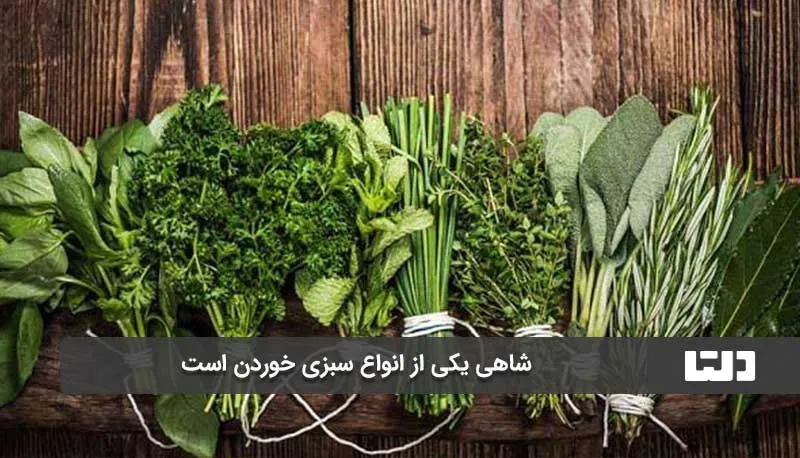کراتین